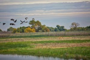 San Joaquin National Wildlife Refuge