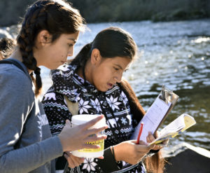 Union Mine High School students conduct water sampling at Greenwood Creek River Access on December 5, 2017
