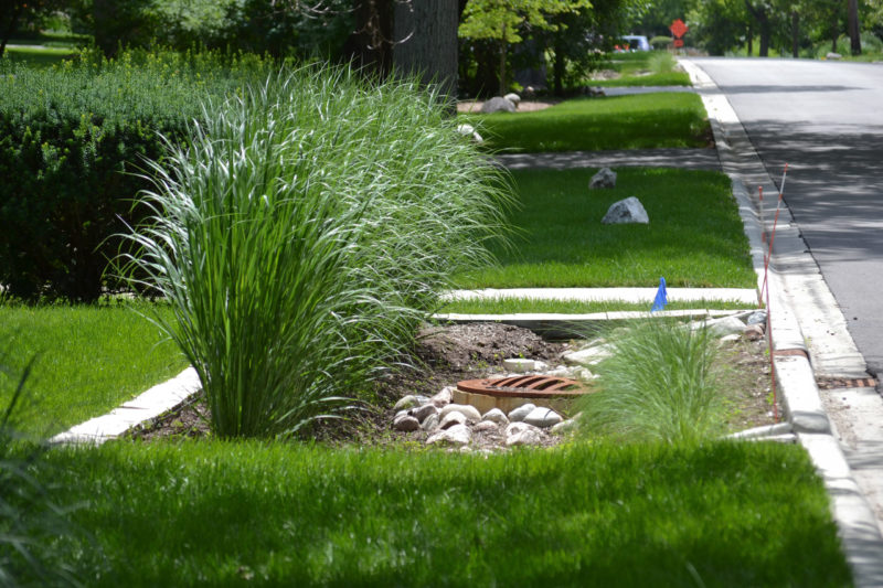 Curb cuts let stormwater flow into neighborhood rain gardens. Photo by Center for Neighborhood Technology