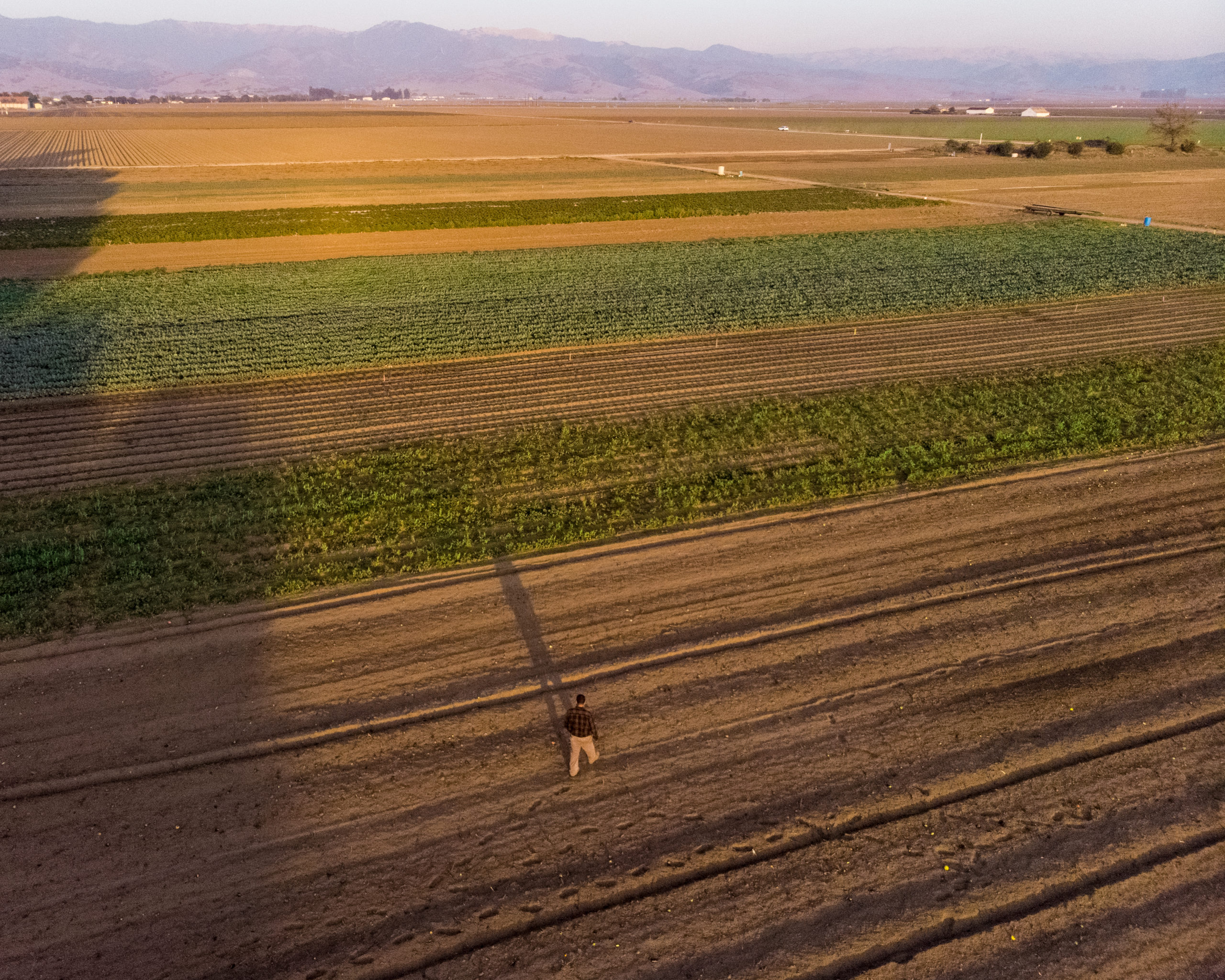 Farmworker walks across the land in Salinas, California. Photo by Lance Cheung from the US Department of Agriculture.