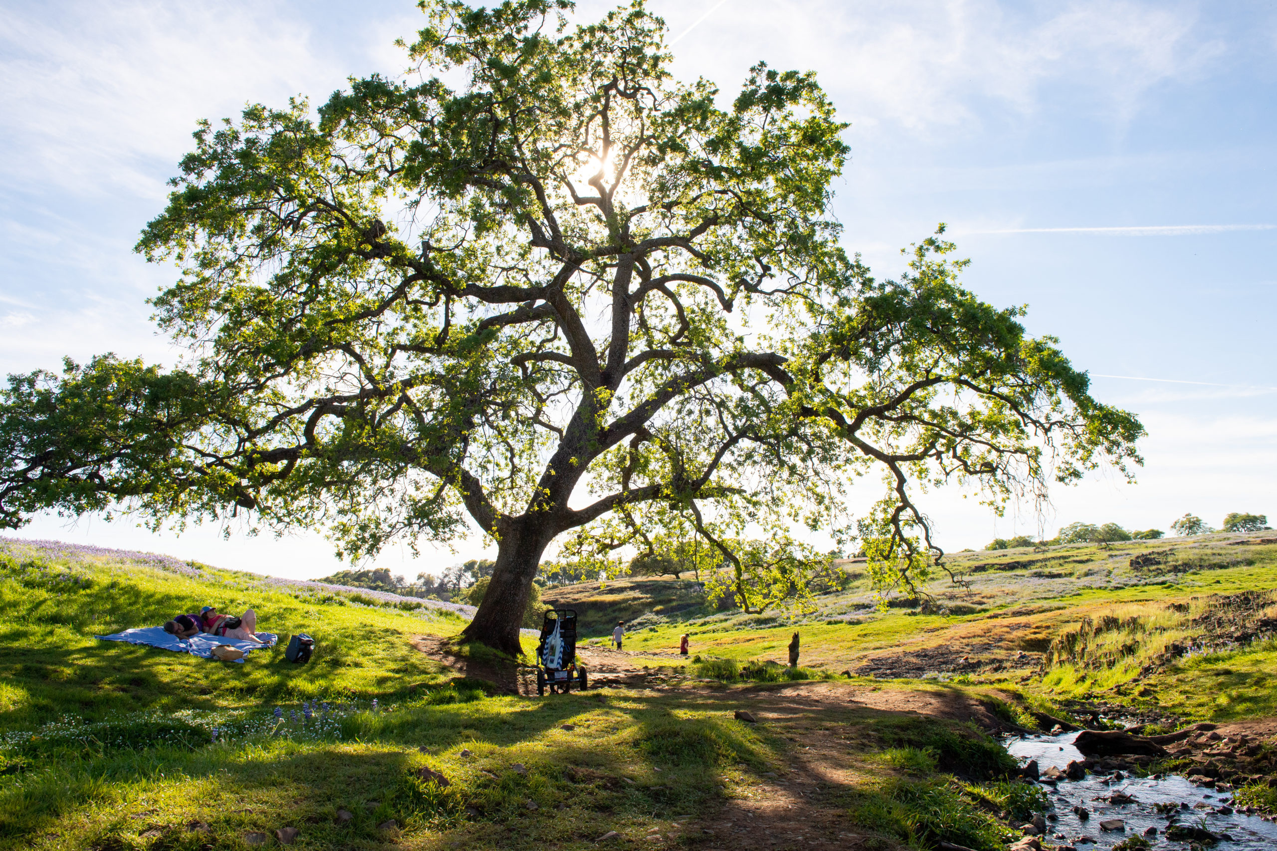 People walk the trail at Table Mountain near Oroville, California. Photo by Kelly M. Grow, California Department of Water Resources.