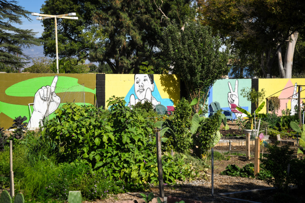 Huerta del Valle, a community garden with murals in Ontario, California. Photo by Lance Cheung, US Department of Agriculture
