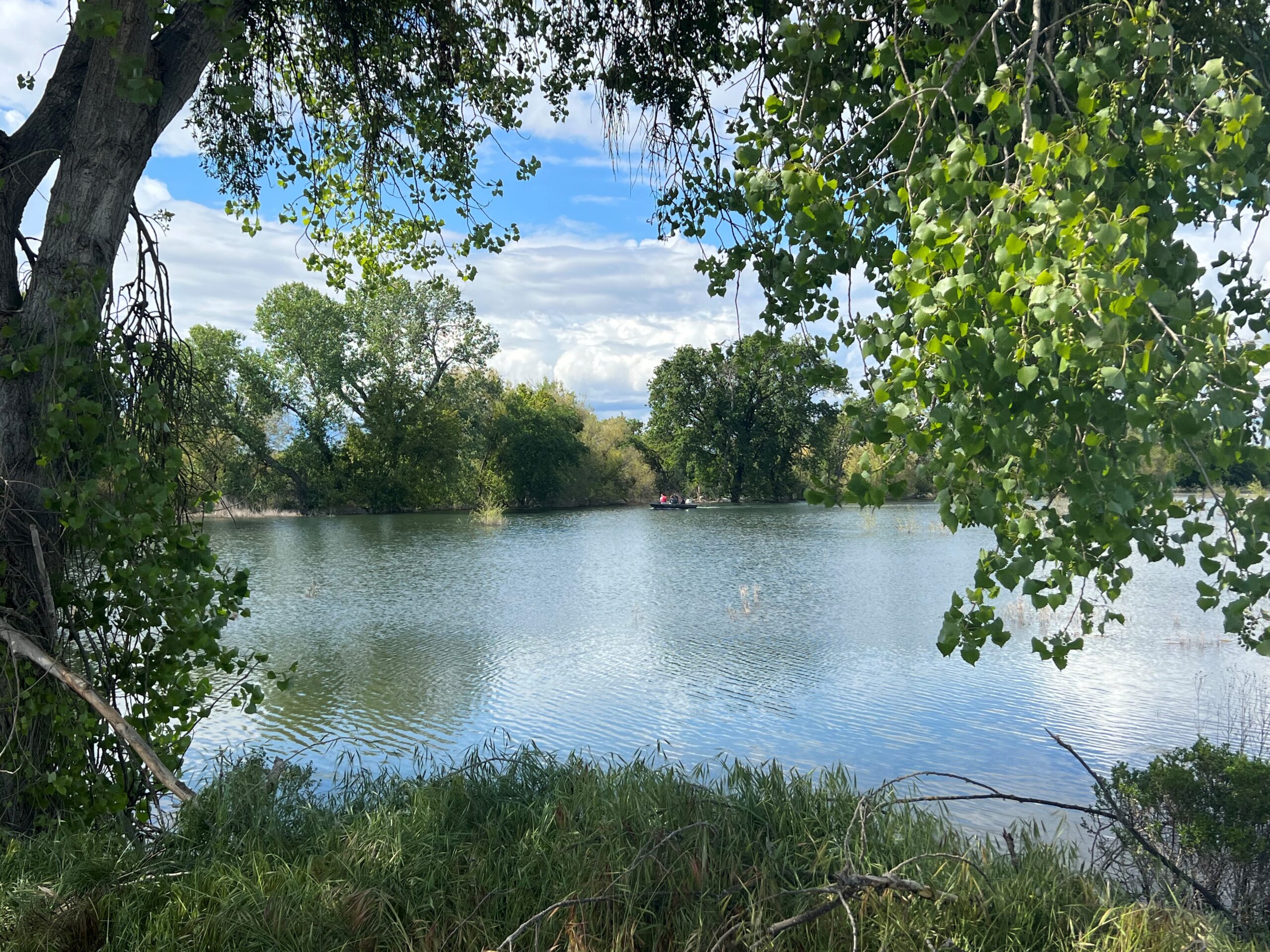 A glimpse of a body of water at Dos Rios Ranch Preserve through a cluster of trees.