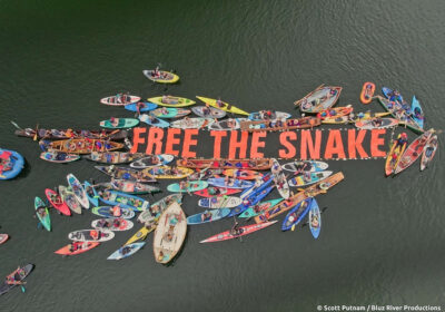 flotilla in PNW calling for dam removal for salmon recovery